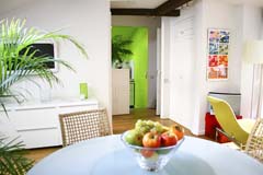 Ah Paris vacation apartment 1 - sam3