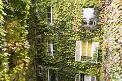 Ah Paris vacation apartment 1 - vue