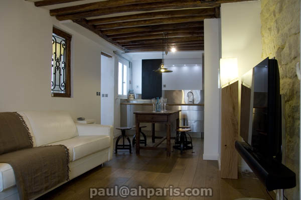 Ah Paris vacation apartment 110 - salon2