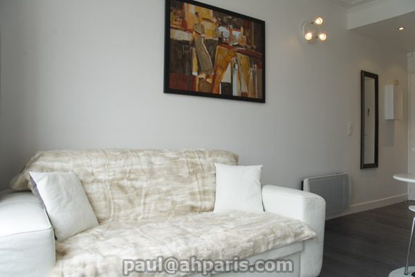 Ah Paris vacation apartment 151 - salon3