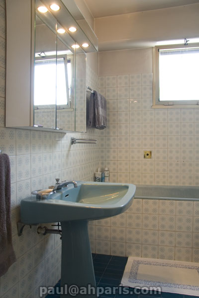 Ah Paris vacation apartment 155 - sdb