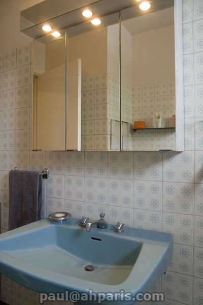 Ah Paris vacation apartment 155 - sdb_3
