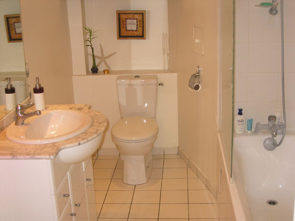 Ah Paris vacation apartment 156 - sdb