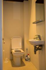 Ah Paris vacation apartment 157 - wc