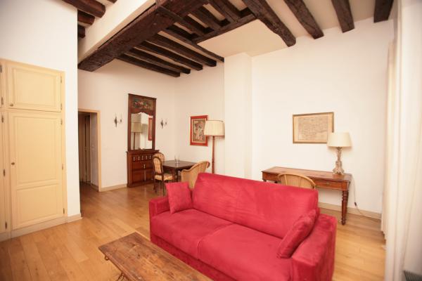 Ah Paris vacation apartment 198 - salon3