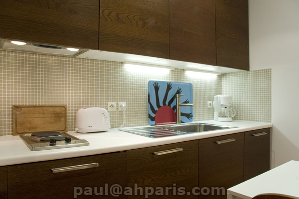 Ah Paris vacation apartment 199 - cuisine