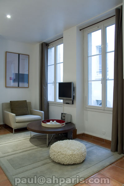 Ah Paris vacation apartment 199 - salon5