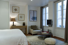 Ah Paris vacation apartment 199 - salon6