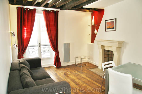 Ah Paris vacation apartment 201 - salon