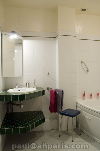 Ah Paris vacation apartment 205 - sdb