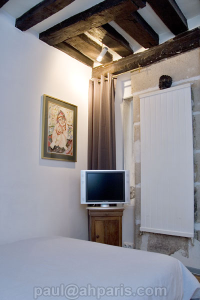 Ah Paris vacation apartment 225 - salon4