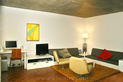 Ah Paris vacation apartment 226 - salon