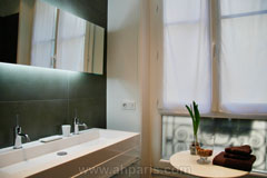 Ah Paris vacation apartment 235 - sdb