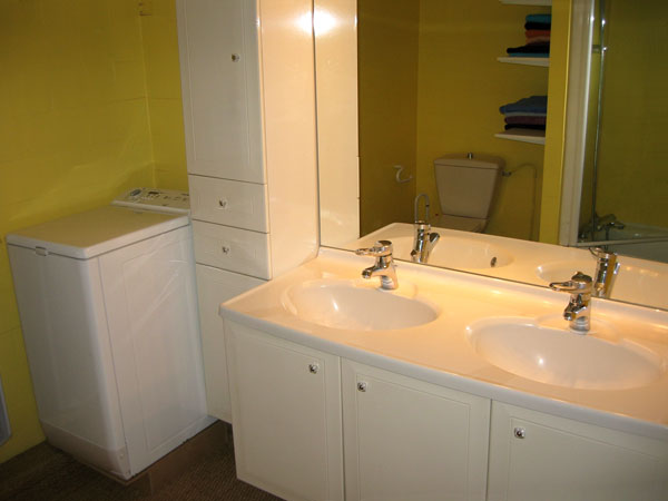 Ah Paris vacation apartment 239 - sdb