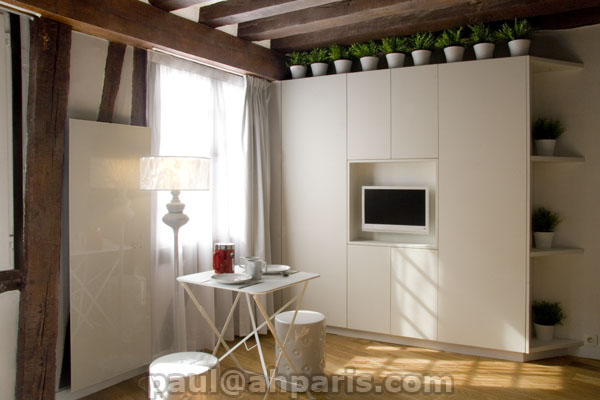 Ah Paris vacation apartment 255 - salon3
