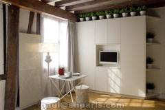 Ah Paris vacation apartment 255 - salon3