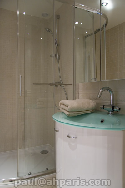Ah Paris vacation apartment 260 - sdb_2