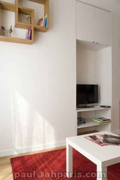 Ah Paris vacation apartment 281 - salon4