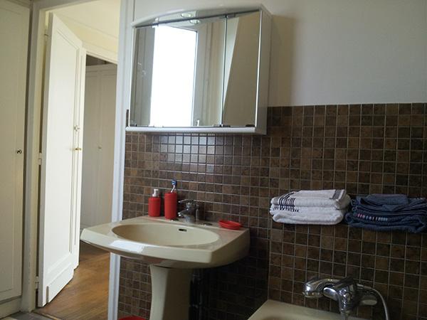 Ah Paris vacation apartment 281 - sdb_2