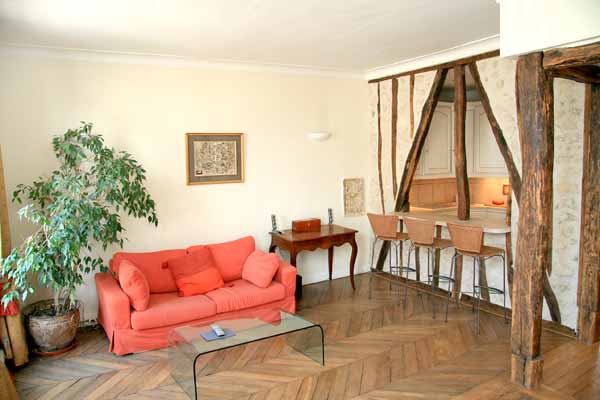 Ah Paris vacation apartment 307 - salon