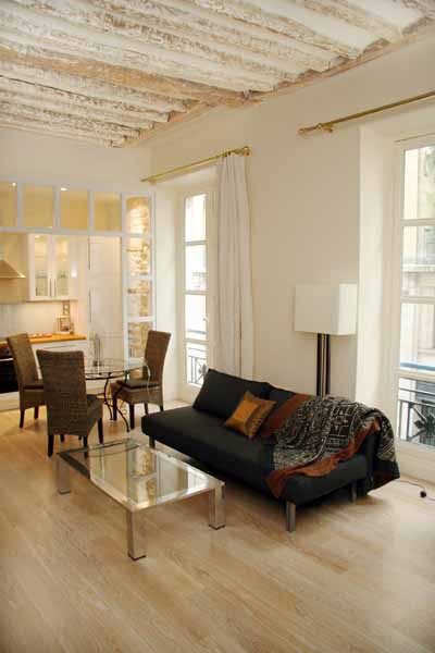 Ah Paris vacation apartment 321 - salon2