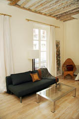 Ah Paris vacation apartment 321 - salon