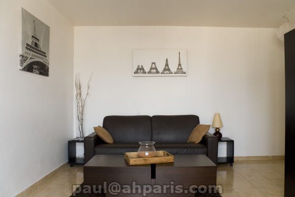 Ah Paris vacation apartment 325 - salon3