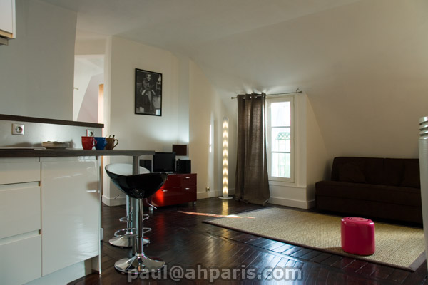 Ah Paris vacation apartment 328 - salon