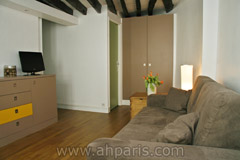 Ah Paris vacation apartment 347 - salon3
