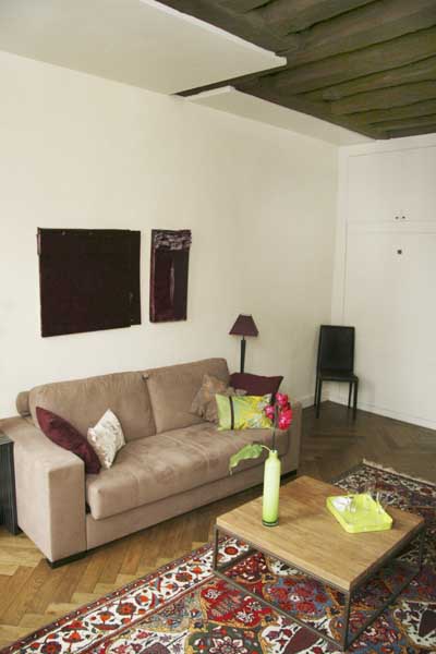 Ah Paris vacation apartment 348 - salon5
