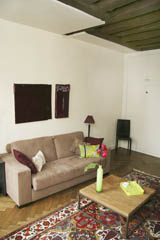 Ah Paris vacation apartment 348 - salon5