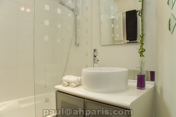 Ah Paris vacation apartment 351 - sdb_2