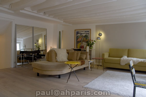 Ah Paris vacation apartment 357 - salon3