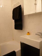 Ah Paris vacation apartment 360 - sdb2