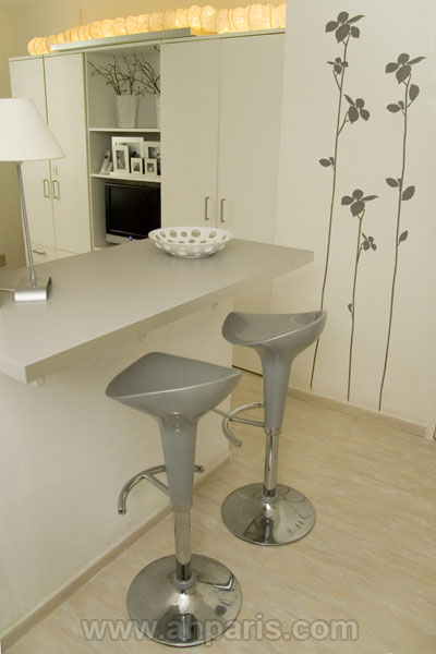 Ah Paris vacation apartment 372 - cuisine3