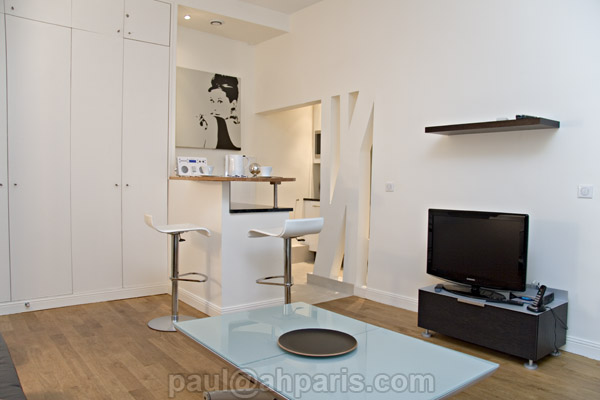 Ah Paris vacation apartment 405 - salon2