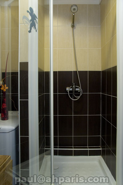 Ah Paris vacation apartment 418 - sdb_3
