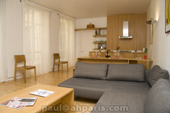 Ah Paris vacation apartment 84 - salon2