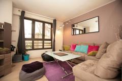 Ah Paris vacation apartment 98 - salon4